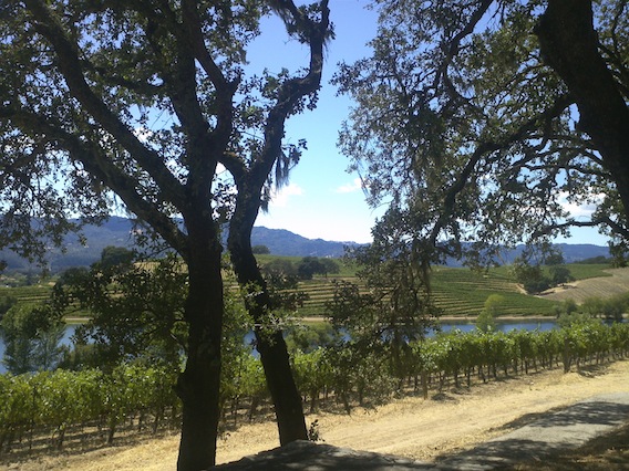 Napa